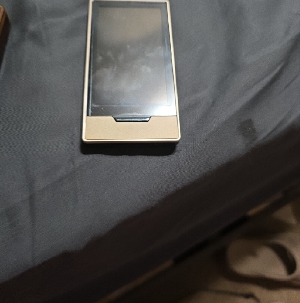 Microsoft Portable Media Player - Brown And A Silver One - Picture 2 of 4